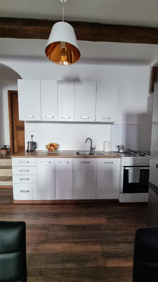 Apartament Apartman Ivo Novigrad  Zewnętrze zdjęcie