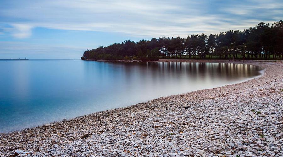 Apartament Apartman Ivo Novigrad  Zewnętrze zdjęcie